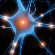 Dalle connessioni del cervello alla rete web