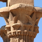 colonna