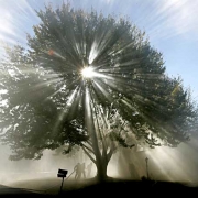 ecoidee_Valter_Tius