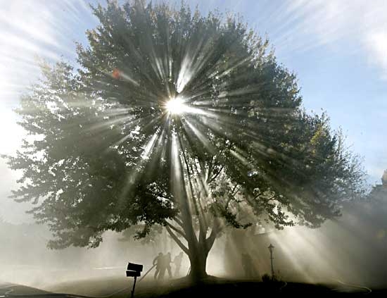 ecoidee_Valter_Tius
